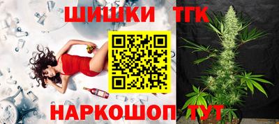 МДПВ Бийск