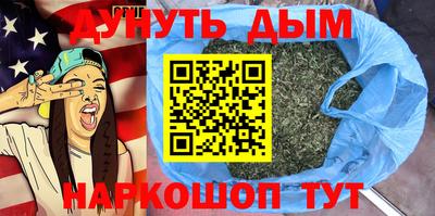 МДПВ Бийск
