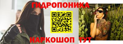 МДПВ Бийск