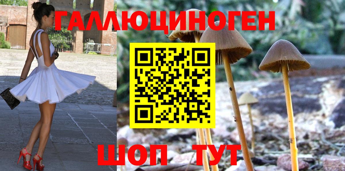 Псилоцибиновые грибы мухоморы Камышин