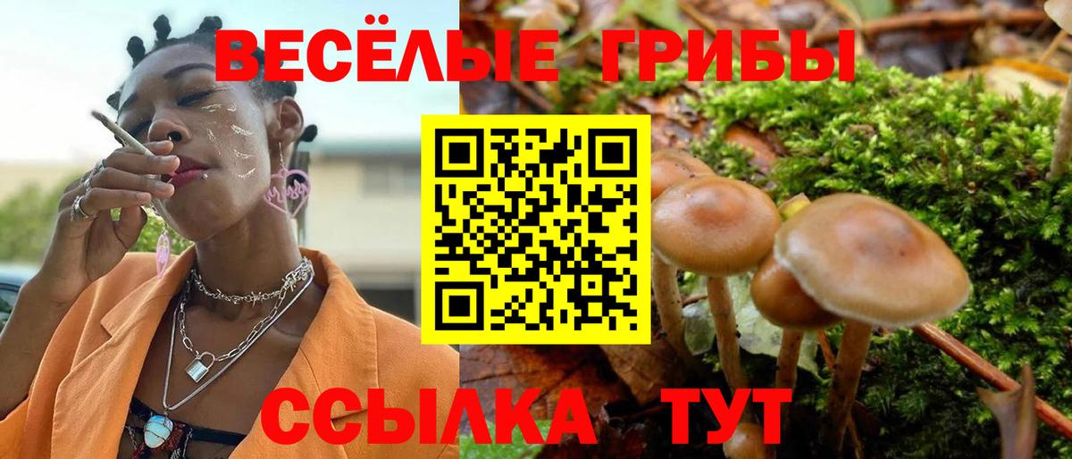 Галлюциногенные грибы мицелий  Вход с VPN  Камышин 